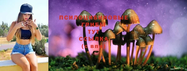 Альфа ПВП Новозыбков