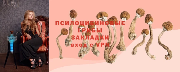 Альфа ПВП Новозыбков