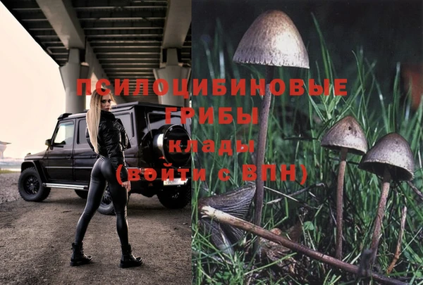 синтетический гашиш Новодвинск
