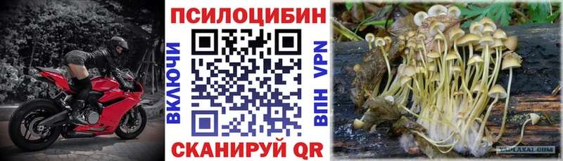 Псилоцибиновые грибы GOLDEN TEACHER  Печора 