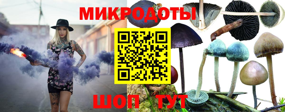 Галлюциногенные грибы GOLDEN TEACHER Печора
