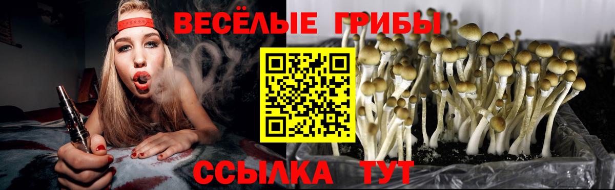 Печора  Галлюциногенные грибы Psilocybine cubensis  Вход с VPN 